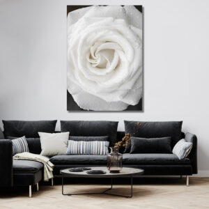 Tableau Fleur Blanche
