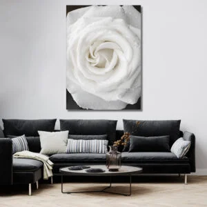 Tableau Fleur Blanche