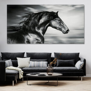 Tableau Cheval Noir Et Blanc