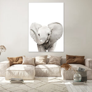 Tableau Éléphant Bebe